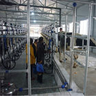 Автоматический доя салон измерителя прокачки шевронный доя для молочной фермы