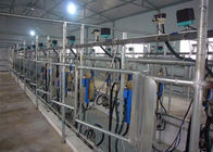 Автоматический доя салон с компьютеризированной системой измерения молока Electroinc
