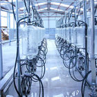 Система доя салона автоматического стеклянного измерения молока шевронная