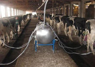 Салон коровы/козочки трубопровода доя с проводником перехода молока